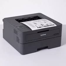 Brother HLL2400DW Printer